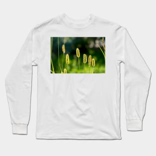 Field flowers photographed in Bucegi mountains, Romania. Spring day Long Sleeve T-Shirt